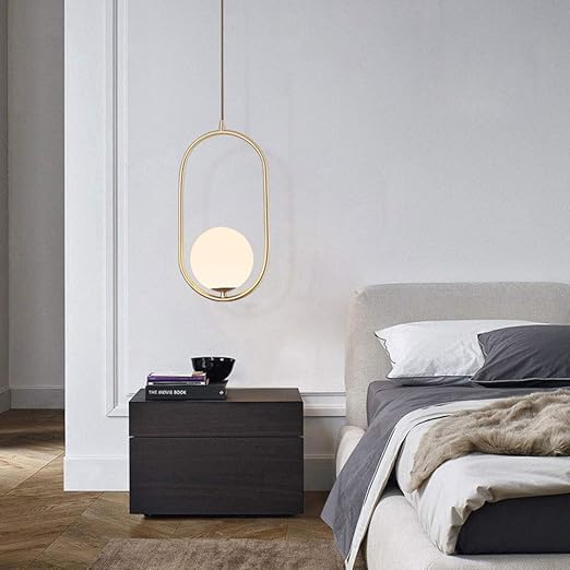 Elegant Globe Pendant Light (Single Globe)